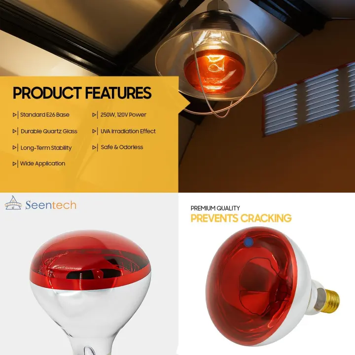 250W R40 Infrared Heat Lamp Bulb — High-Output Heat Spotlight