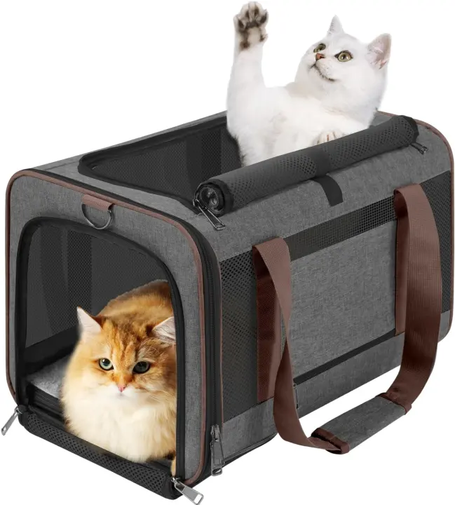 Large Soft Collapsible Cat & Small Dog Travel Carrier