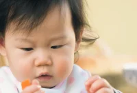 10 Vegetables for Babies 6–12 Months