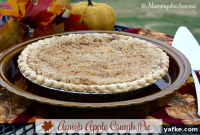 Amish Apple Crumb Pie Recipe from Weekend Potluck 293