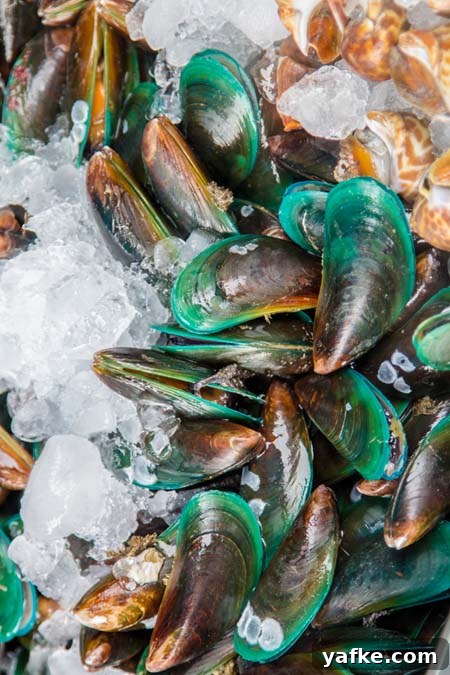 5 Shellfish Recipes: Clams, Oysters and Mussels 3 How to store shellfish