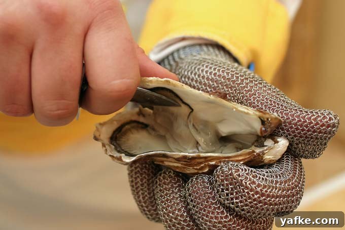 5 Shellfish Recipes: Clams, Oysters and Mussels 5 How to Shuck Oysters