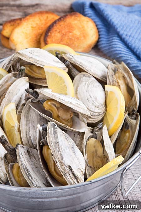 5 Shellfish Recipes: Clams, Oysters and Mussels 6 How to steam clams and other shellfish