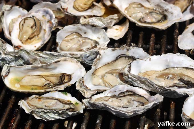 5 Shellfish Recipes: Clams, Oysters and Mussels 7 How to Grill Oysters and Other Shellfish