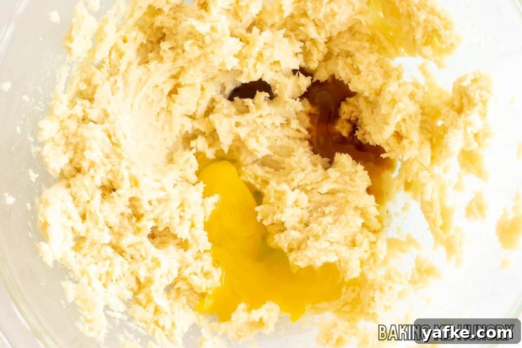 Birthday Cake Blondies Recipe with Sprinkles 6 egg and vanilla added
