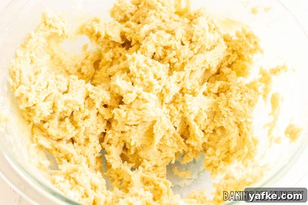 Birthday Cake Blondies Recipe with Sprinkles 7 dough in bowl