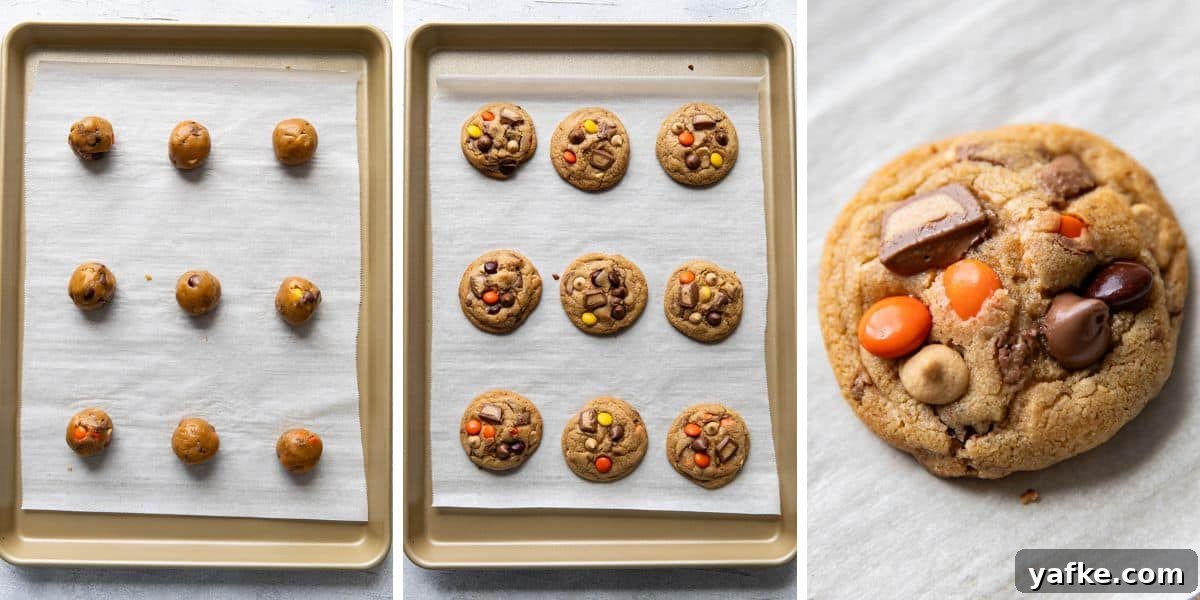Cookies for Peanut Butter Lovers: Classic Recipe 5 Fresh baked Peanut Butter Lovers Cookies cooling