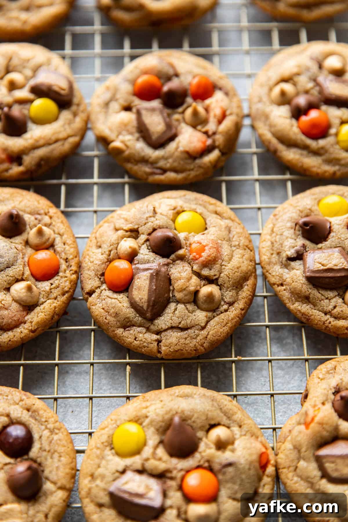 Cookies for Peanut Butter Lovers: Classic Recipe 6 Stack of Peanut Butter Lovers Cookies