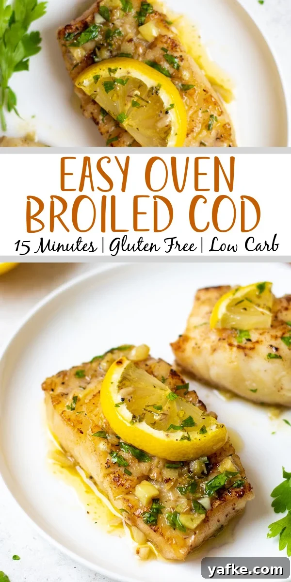 Broiled cod is a quick and easy recipe that's perfect for a family fish dinner. This recipe is gluten free and can be made dairy free easily and with a grand total of 7 ingredients it's a breeze to make. Cod is one of the more common fish fillets you see around and having a solid recipe to prepare it is crucial and at ten minutes of cook time broiling cod is the way to go. #glutenfreerecipes #dairyfreerecipes #glutenfreedairyfreerecipes #healthyfishrecipes #codrecipes #cod #broilerrecipes Broiled cod is a quick and easy recipe that's perfect for a family fish dinner. This recipe is gluten free and can be made dairy free easily and with a grand total of 7 ingredients it's a breeze to make. Cod is one of the more common fish fillets you see around and having a solid recipe to prepare it is crucial and at ten minutes of cook time broiling cod is the way to go. #glutenfreerecipes #dairyfreerecipes #glutenfreedairyfreerecipes #healthyfishrecipes #codrecipes #cod #broilerrecipes