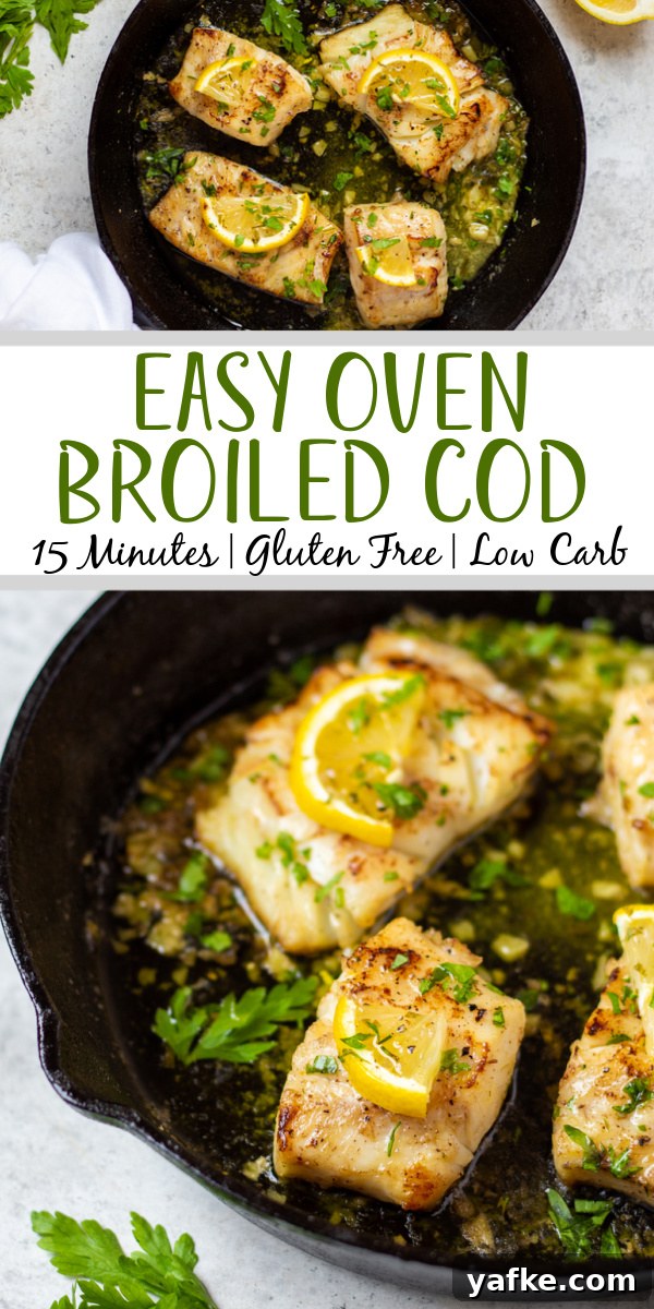Broiled cod is a quick and easy recipe that's perfect for a family fish dinner. This recipe is gluten free and can be made dairy free easily and with a grand total of 7 ingredients it's a breeze to make. Cod is one of the more common fish fillets you see around and having a solid recipe to prepare it is crucial and at ten minutes of cook time broiling cod is the way to go. #glutenfreerecipes #dairyfreerecipes #glutenfreedairyfreerecipes #healthyfishrecipes #codrecipes #cod #broilerrecipes Broiled cod is a quick and easy recipe that's perfect for a family fish dinner. This recipe is gluten free and can be made dairy free easily and with a grand total of 7 ingredients it's a breeze to make. Cod is one of the more common fish fillets you see around and having a solid recipe to prepare it is crucial and at ten minutes of cook time broiling cod is the way to go. #glutenfreerecipes #dairyfreerecipes #glutenfreedairyfreerecipes #healthyfishrecipes #codrecipes #cod #broilerrecipes