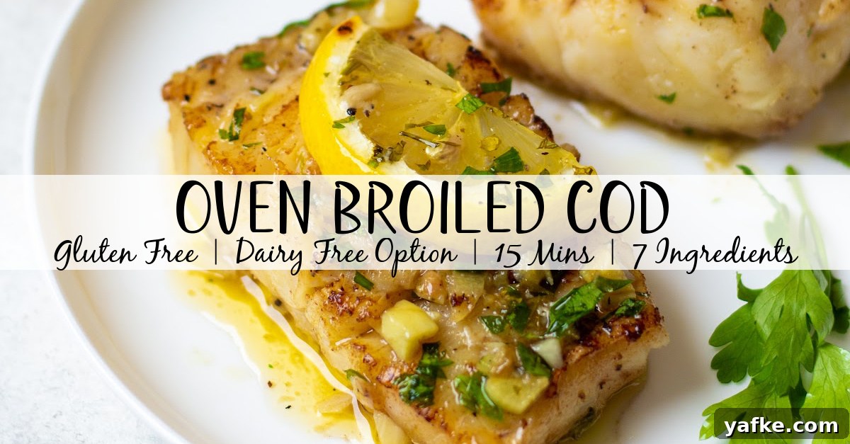 Broiled cod is a quick and easy recipe that's perfect for a family fish dinner. This recipe is gluten free and can be made dairy free easily and with a grand total of 7 ingredients it's a breeze to make. Cod is one of the more common fish fillets you see around and having a solid recipe to prepare it is crucial and at ten minutes of cook time broiling cod is the way to go. #glutenfreerecipes #dairyfreerecipes #glutenfreedairyfreerecipes #healthyfishrecipes #codrecipes #cod #broilerrecipes Broiled cod is a quick and easy recipe that's perfect for a family fish dinner. This recipe is gluten free and can be made dairy free easily and with a grand total of 7 ingredients it's a breeze to make. Cod is one of the more common fish fillets you see around and having a solid recipe to prepare it is crucial and at ten minutes of cook time broiling cod is the way to go. #glutenfreerecipes #dairyfreerecipes #glutenfreedairyfreerecipes #healthyfishrecipes #codrecipes #cod #broilerrecipes