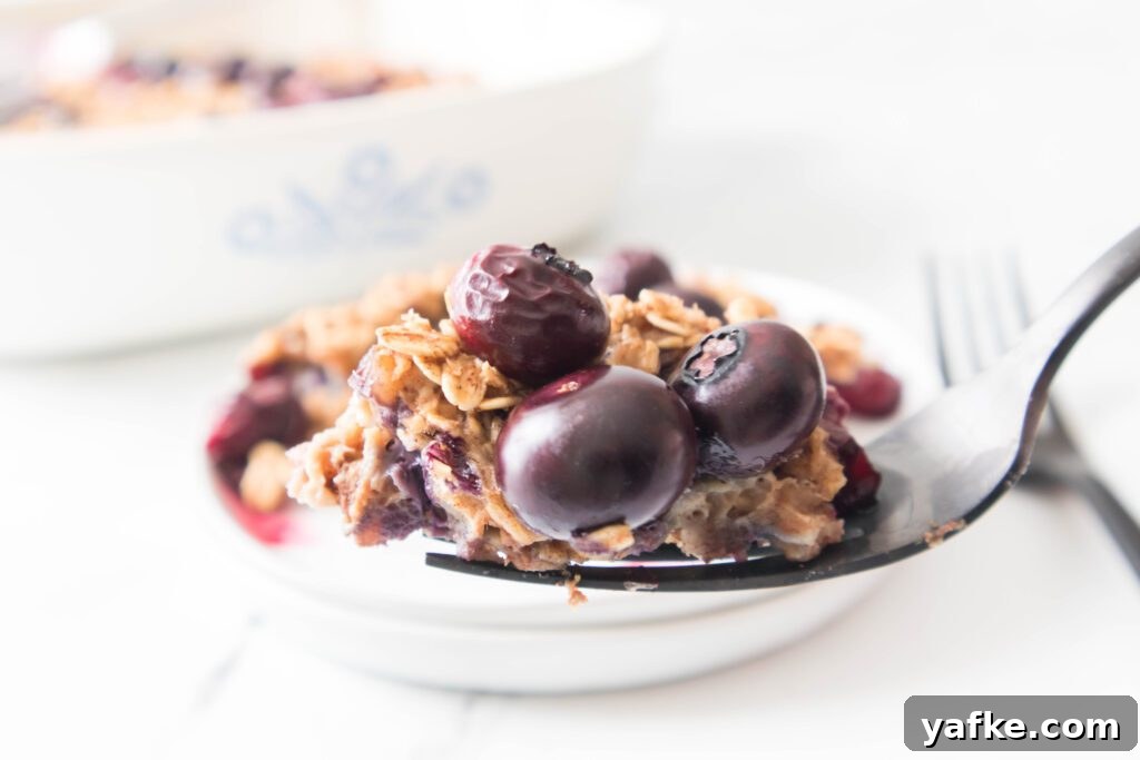 Blueberry Baked Oatmeal Blueberry Baked Oatmeal on a white plate