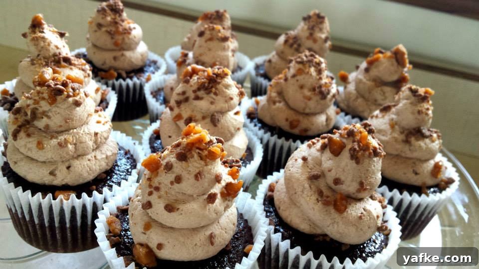 Chocolate Trifle Cupcake