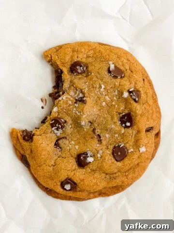 Chewy Brown Butter Pumpkin Snickerdoodles Recipe 12 a single serve pumpkin cookie with a bite missing.