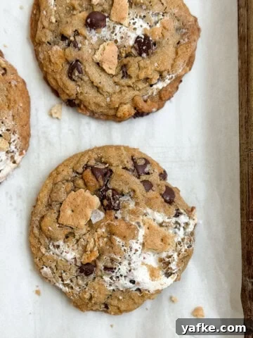 Chewy Brown Butter Pumpkin Snickerdoodles Recipe 14 a few of the brown butter s'mores chocolate chip cookies on a baking sheet.