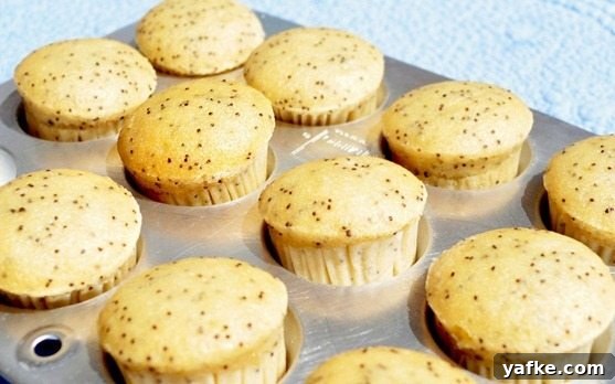 lemon-muffins lemon-muffins