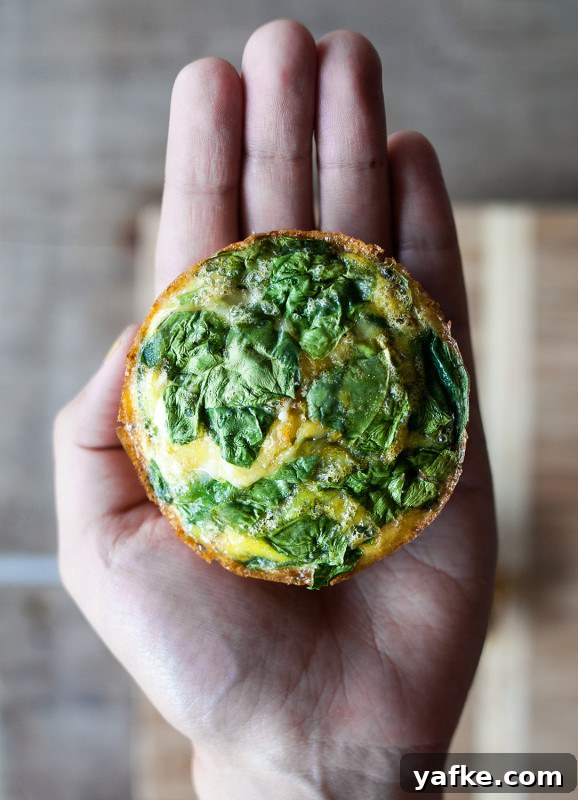Clean Eating: Spinach + Neufchatel Mini Quiches with Almond Crumble Crust Clean Eating: Spinach + Neufchatel Mini Quiches with Almond Crumble Crust