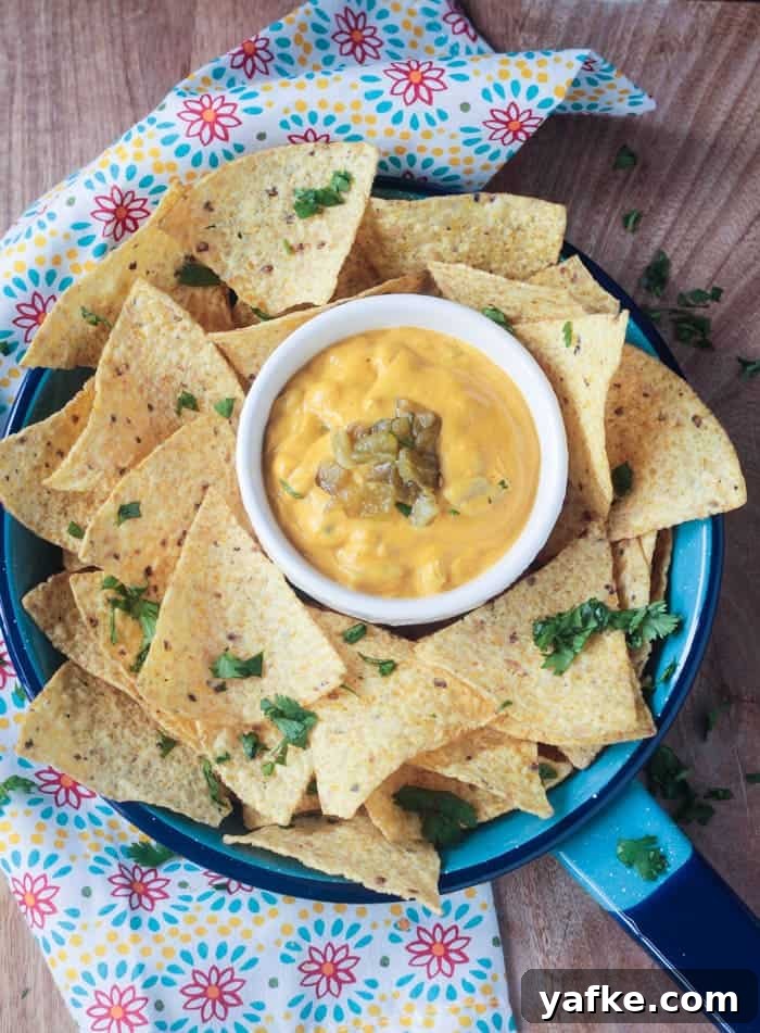 2017's Most Popular Plant-Based Recipes 3 A small white bowl of Homemade Vegan Queso dip surrounded by a piles of tortilla chips sprinkled with cilantro.
