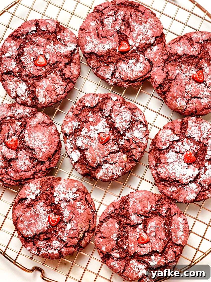 Red Velvet Crinkle Cookies Recipe 6 red velvet crinkle cookies cooling on a wire rack