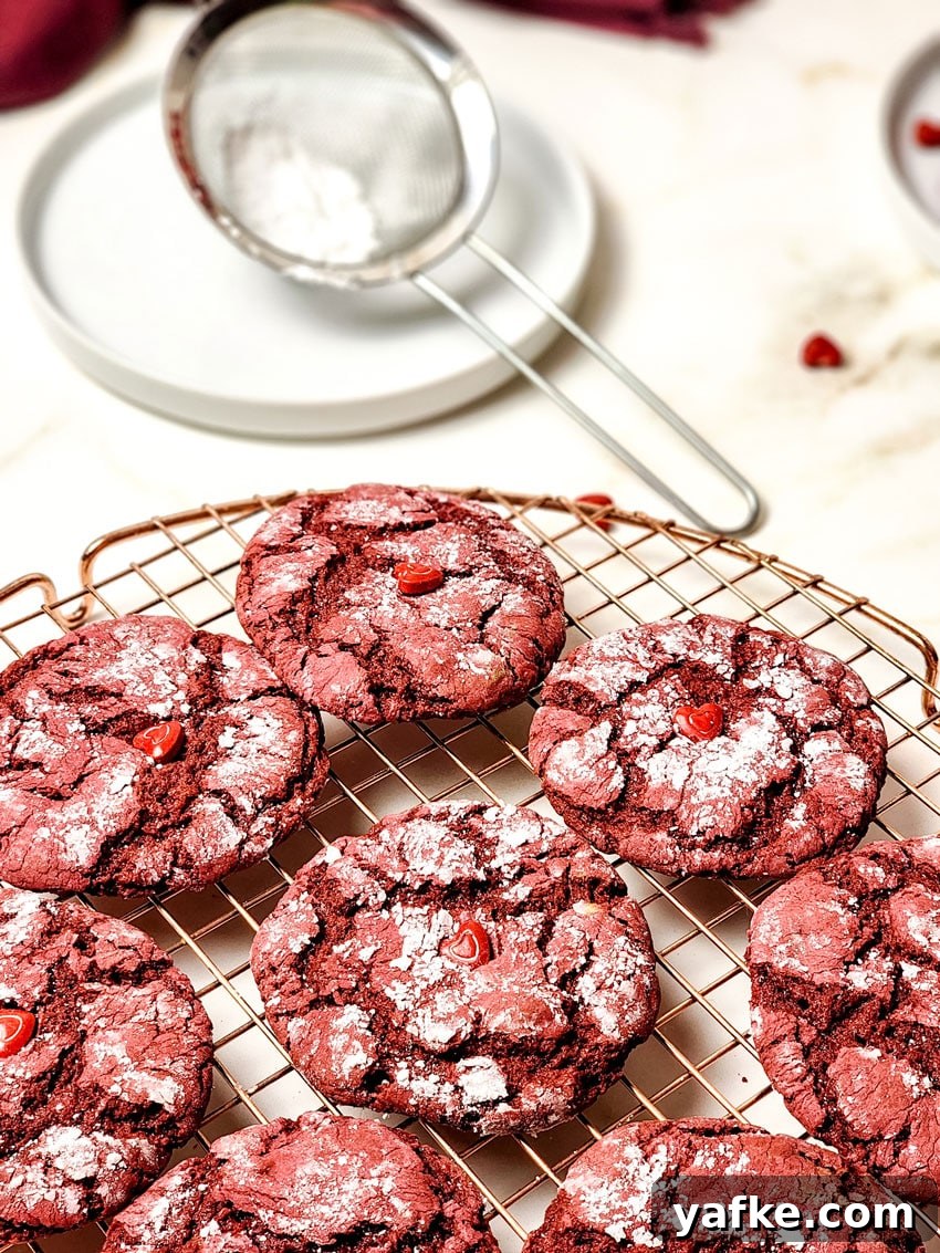 Red Velvet Crinkle Cookies Recipe 2 red velvet crinkle cookies cooling on a wire rack