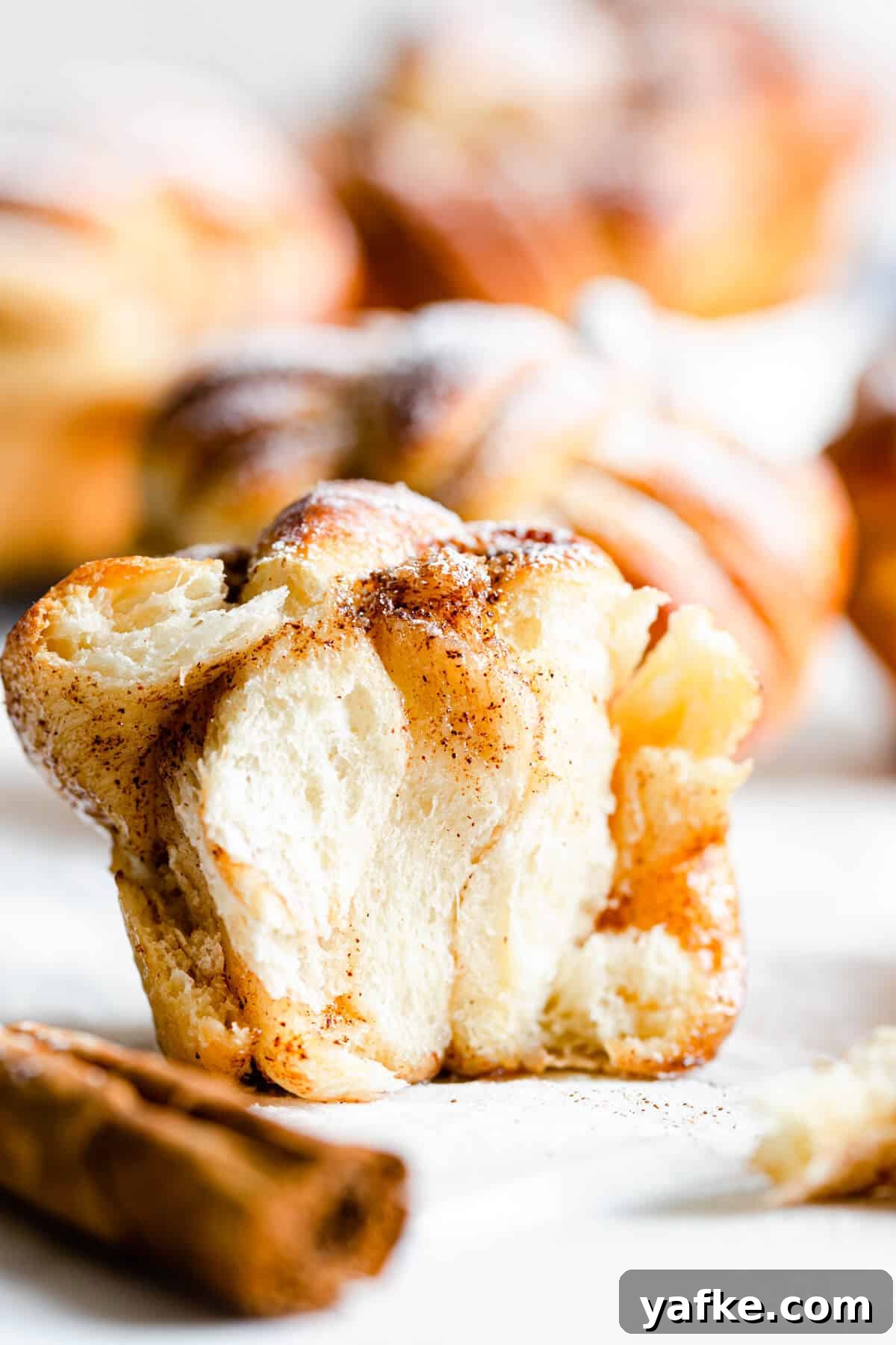 straight-ahead super close up revealing the fluffy texture inside the cinnamon bun