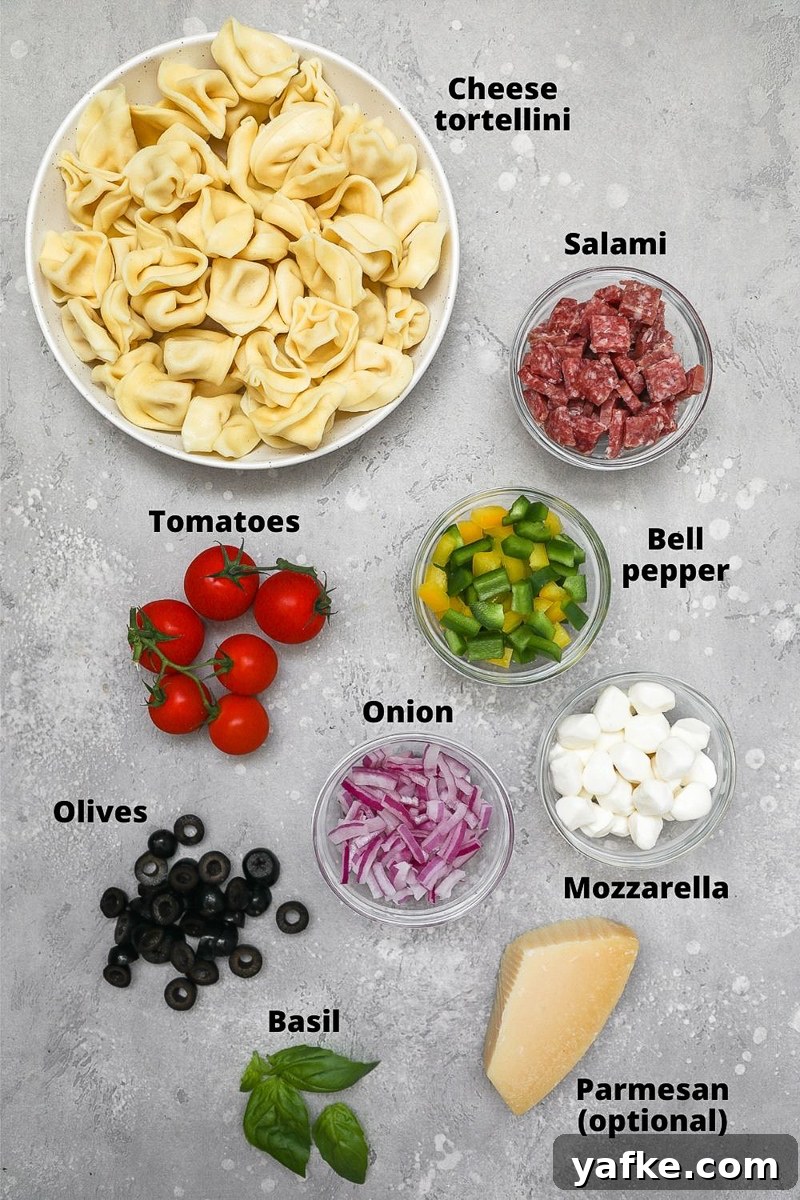 Italian Tortellini Pasta Salad Recipe 2 Ingredients used to make an Italian tortellini pasta salad