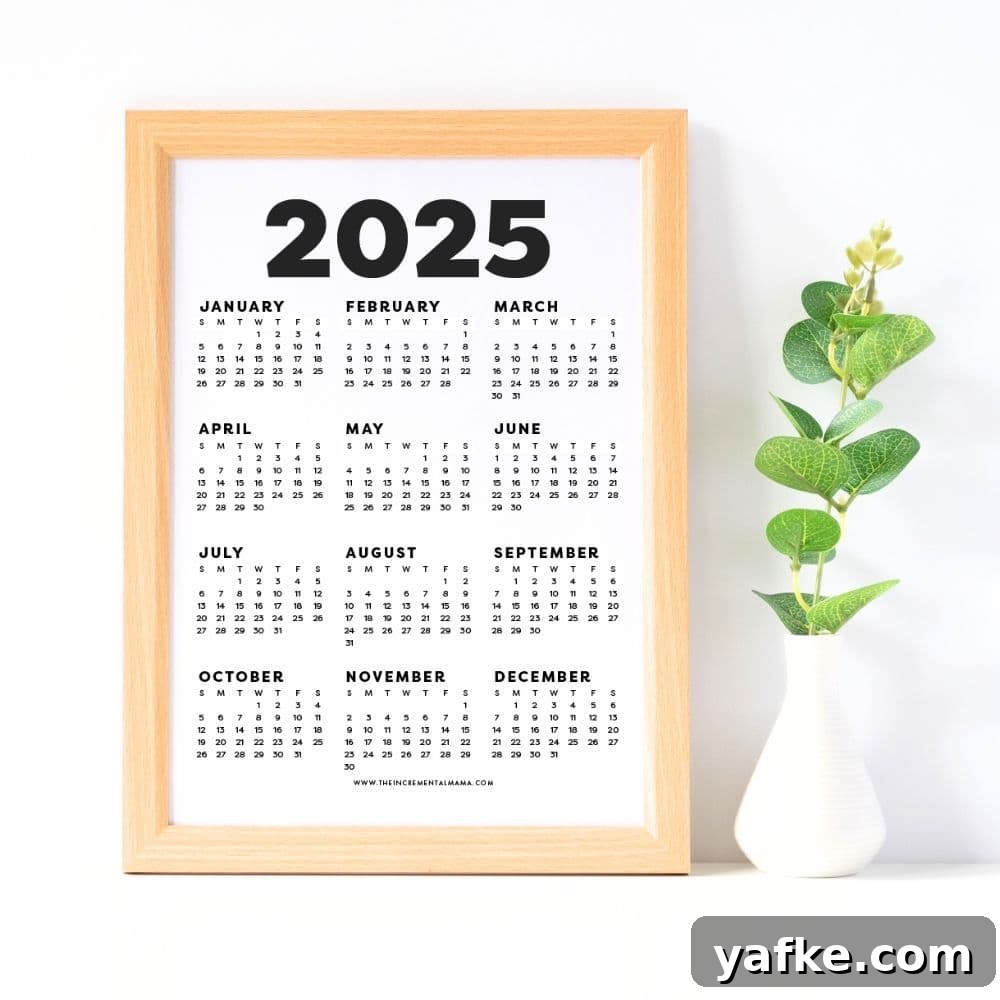 12 Free Printable One-Page Yearly Calendars 2025-2027 3 simple yearly calendar PDF in frame