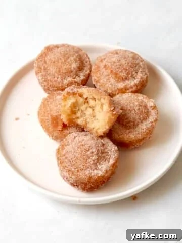 Single serve cinnamon sugar donut mini muffins on a small plate.