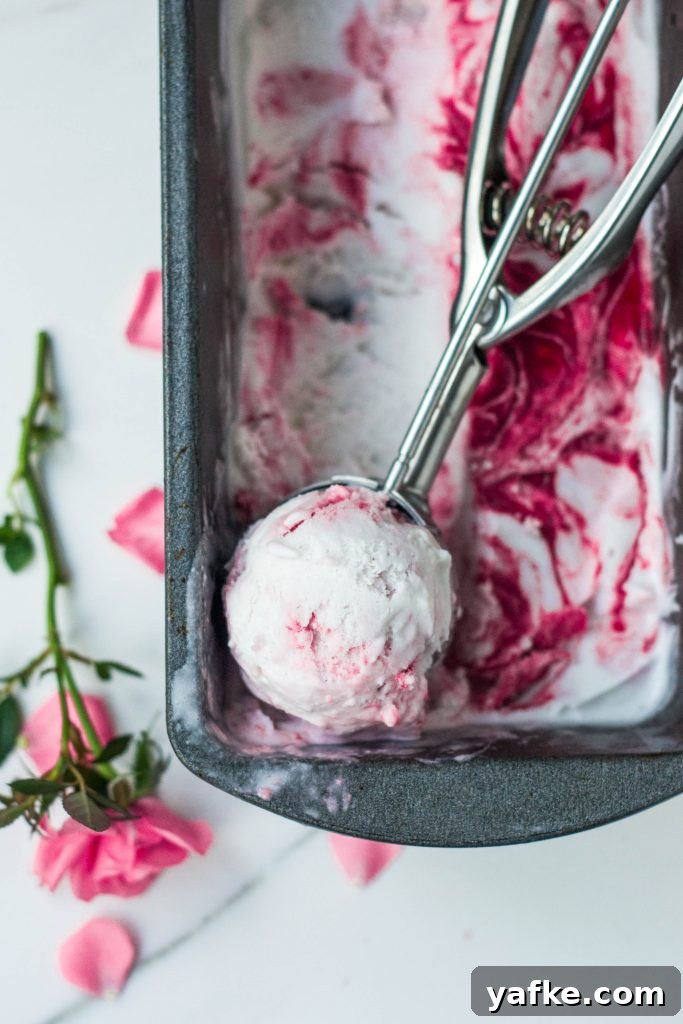 Homemade Vegan Rose and Raspberry Ripple Ice Cream 2 Vegan Rose Raspberry Ripple Ice Cream