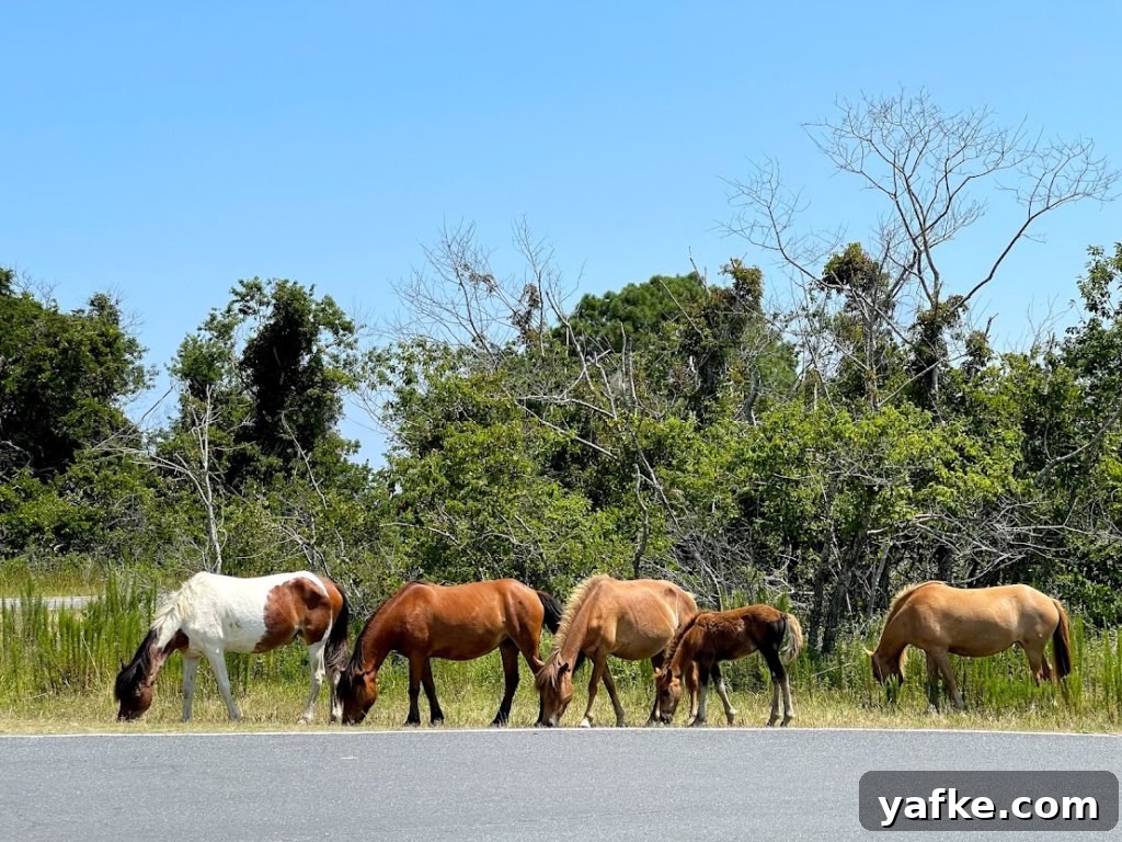Gluten-Free Bed and Breakfast in Berlin: The Inn 27 Horses of Assateague
