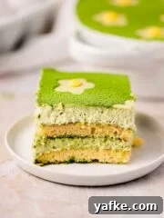 matcha tiramisu