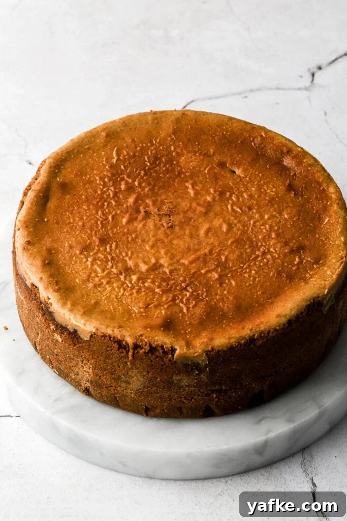 Creamy Lotus Biscoff Cheesecake Recipe 7 baked cheesecake
