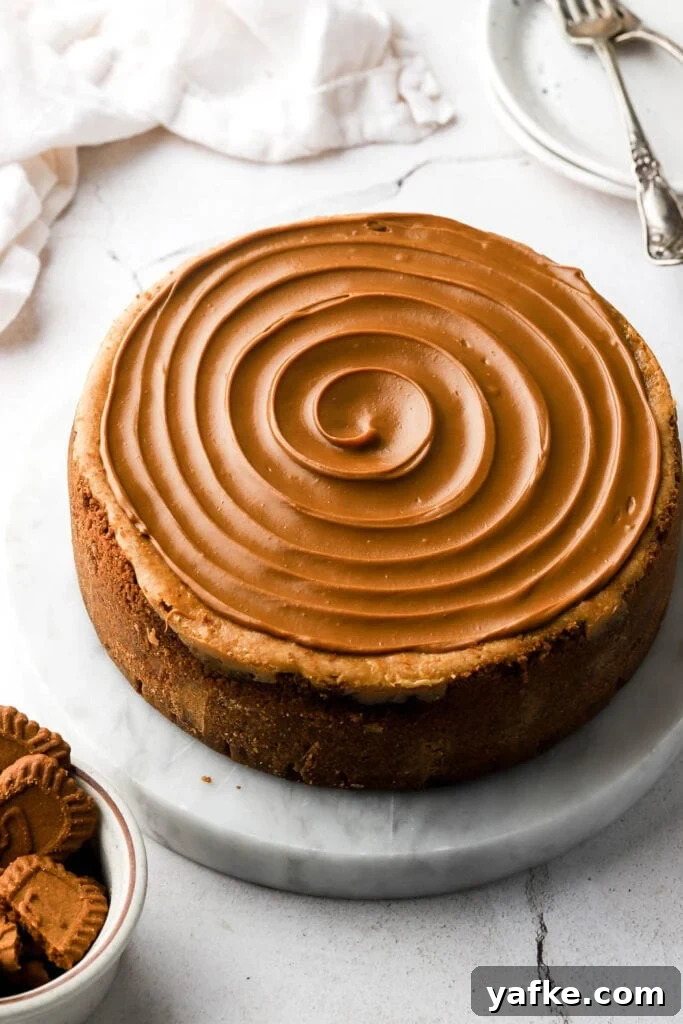 Creamy Lotus Biscoff Cheesecake Recipe 8 biscoff cheesecake topped with cookie butter swirl