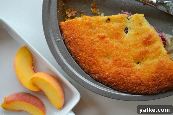 Grain-Free Blackberry Lemon Cake Recipe 3 lemon blackberry cake 2 11.12.24 PM