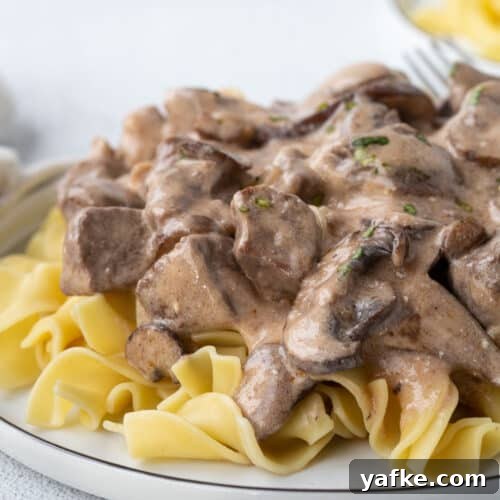 Classic Old Fashioned Sloppy Joes Sandwich Recipe 11 cream of mushroom beef stroganoff with mushrooms on a bed of egg noodles on a white plate.