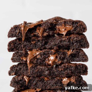 Vegan Double Chocolate Chip Cookies