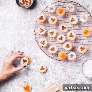 Vegan Linzer Cookies