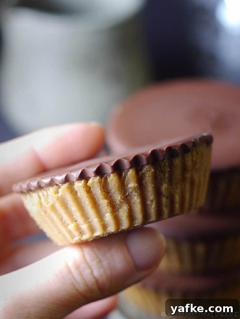 gluten-free vegan hazelnut fudge cups with chocolate
