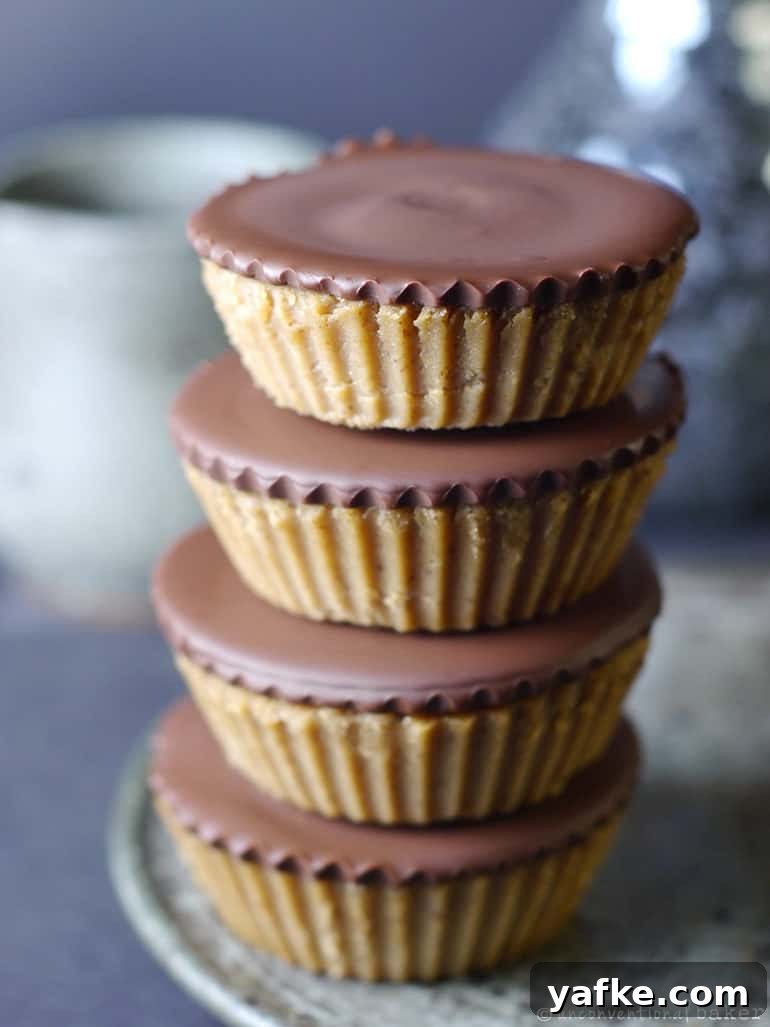 no-bake grain-free vegan dessert: hazelnut chocolate fudge cups