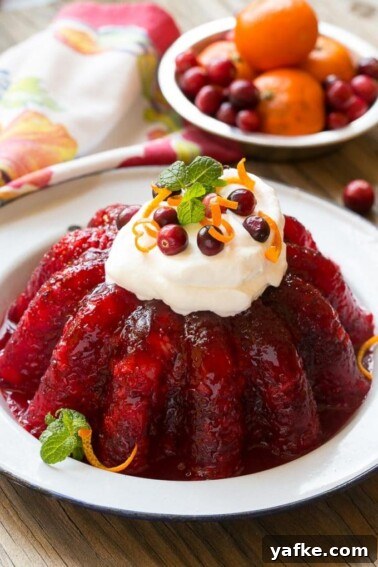 Raspberry and cranberry gelatin salad mold.
