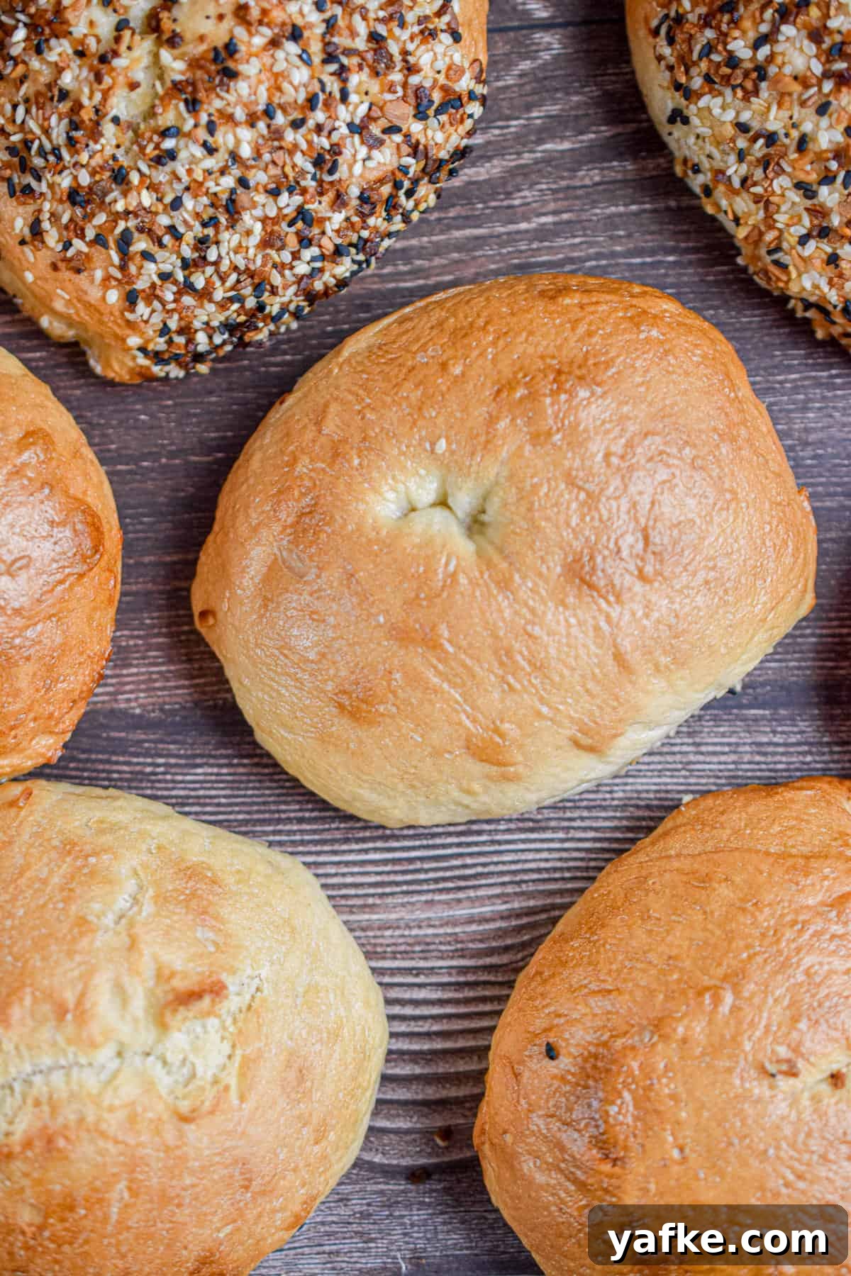 New York-Style Bagels Made with Sourdough Discard 12 Four plain sourdough discard bagels are next two two everything bagels.