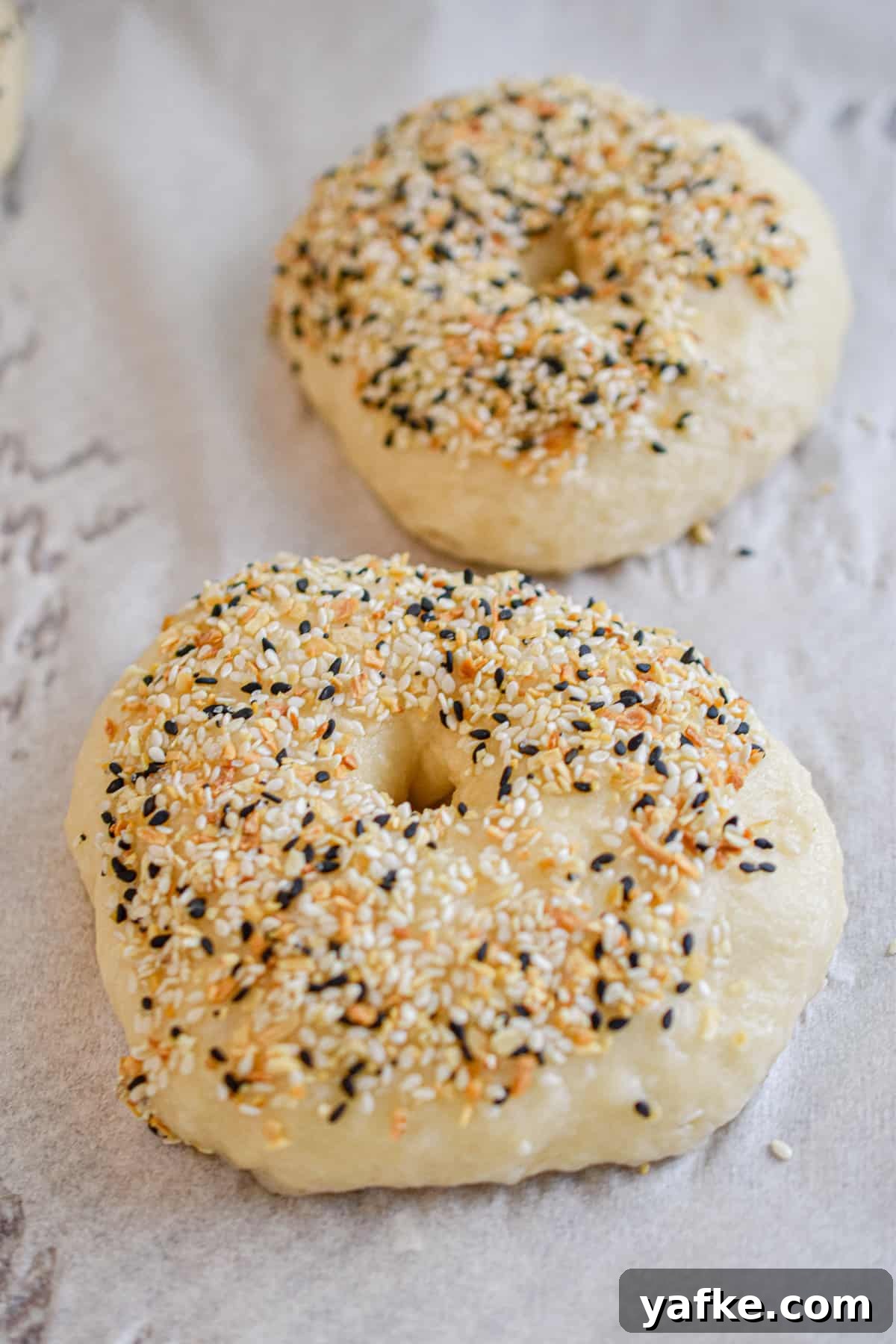 New York-Style Bagels Made with Sourdough Discard 10 The bagels are laid out on a parchment lined baking sheet after it has been boiled.