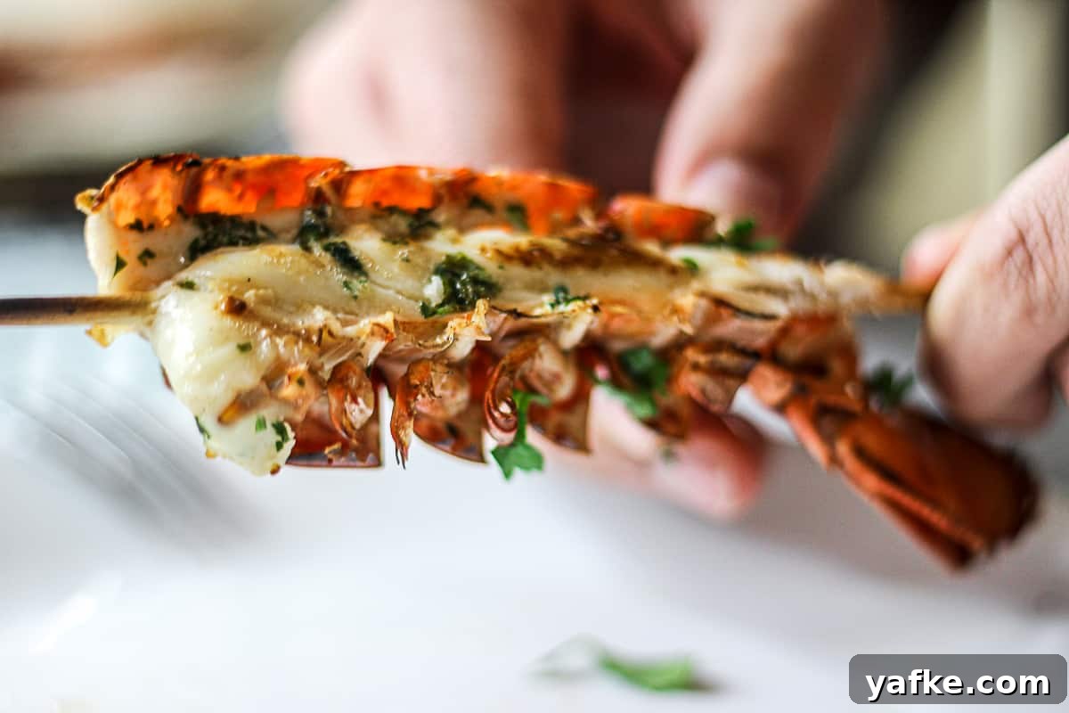 How to Make Sous Vide Lobster Tail with Buttery Sauce 9 Cooked sous vide lobster tail .