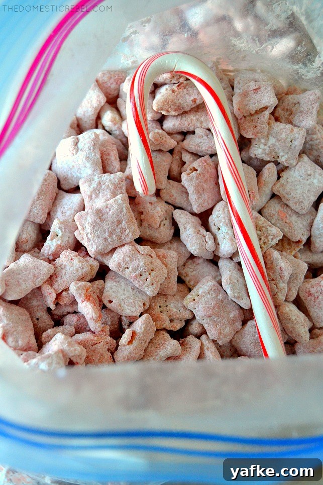 Peppermint candy cane muddy buddies in a bag with a candy cane
