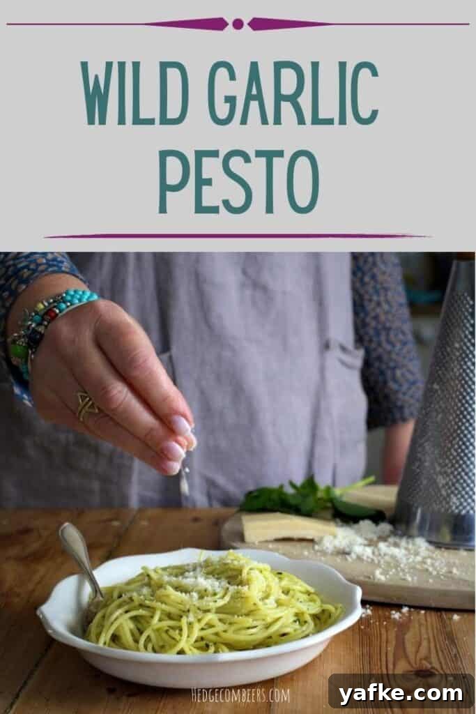 Wild Garlic Pesto Recipe for Spring 2 Wild garlic pesto