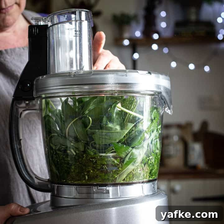 Wild Garlic Pesto Recipe for Spring 5 a food processor full of wild garlic ready to make ramson pesto
