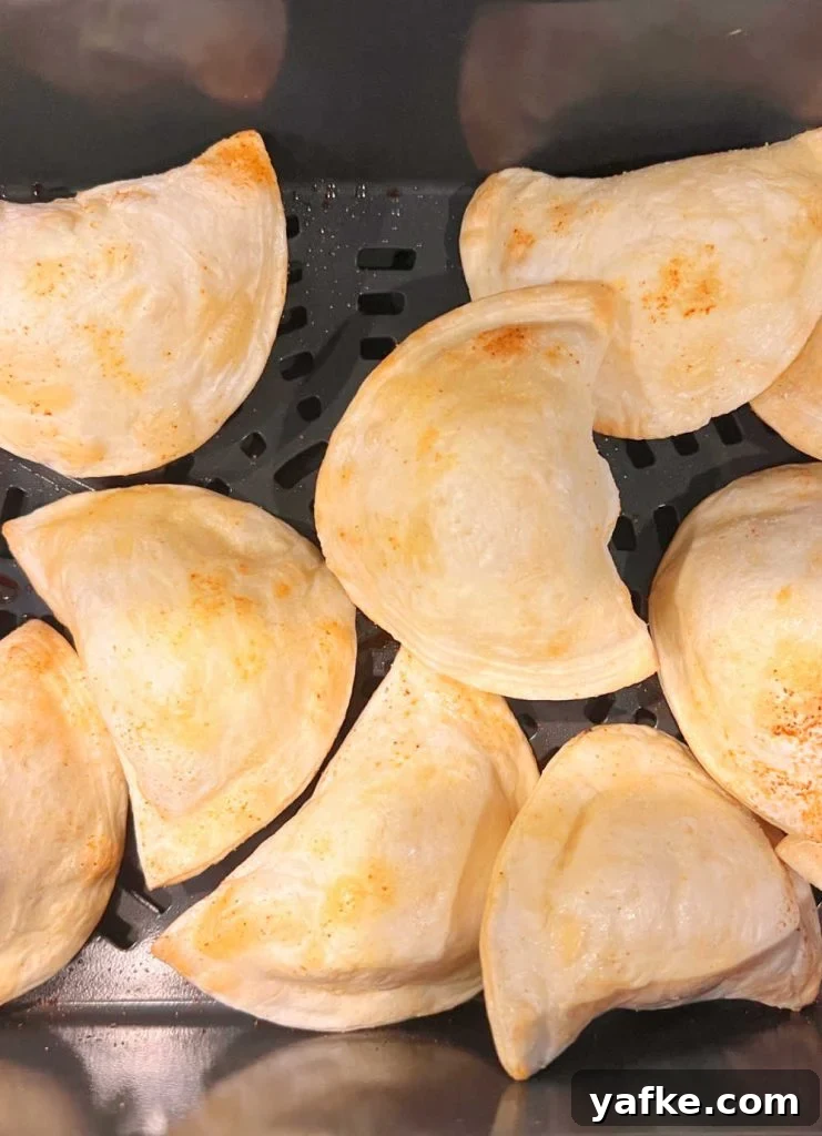 Crispy Air Fryer Pierogies in 15 Minutes 5 crispy pierogi in ninja foodi grill air fryer basket