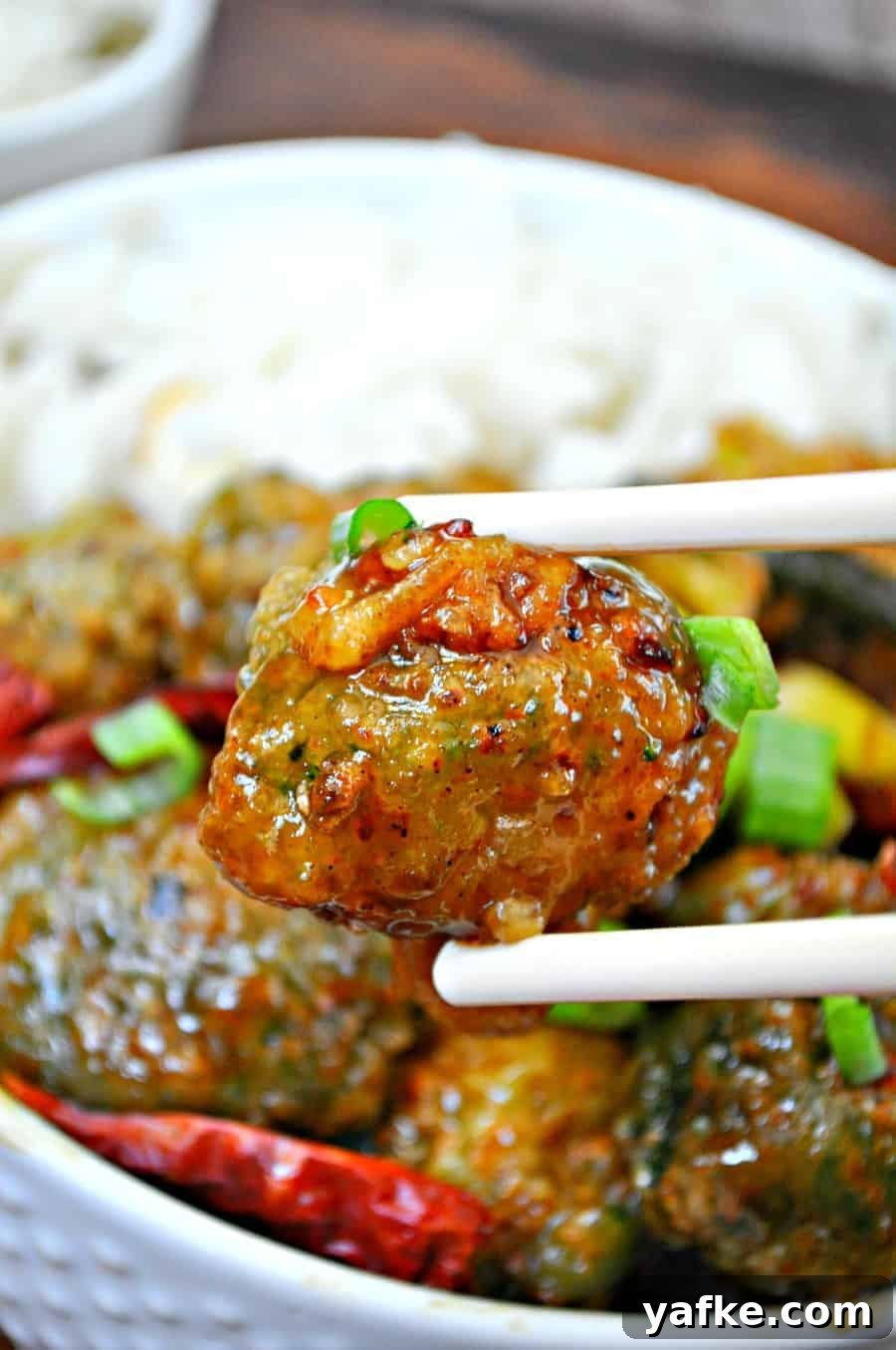 Crispy Vegan General Tso's Broccoli Recipe 4 img 2255 4