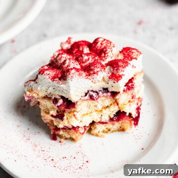 Creamy No-Churn Blackberry Chocolate Chip Ice Cream Recipe 15 A square slice of cherry tiramisu on a plate with a bite removed.