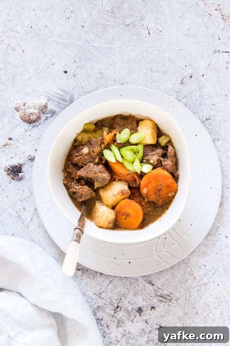 Dump-and-Start Instant Pot Beef Stew 2 A bowl of Instant Pot Beef Stew on a plate with a spoon